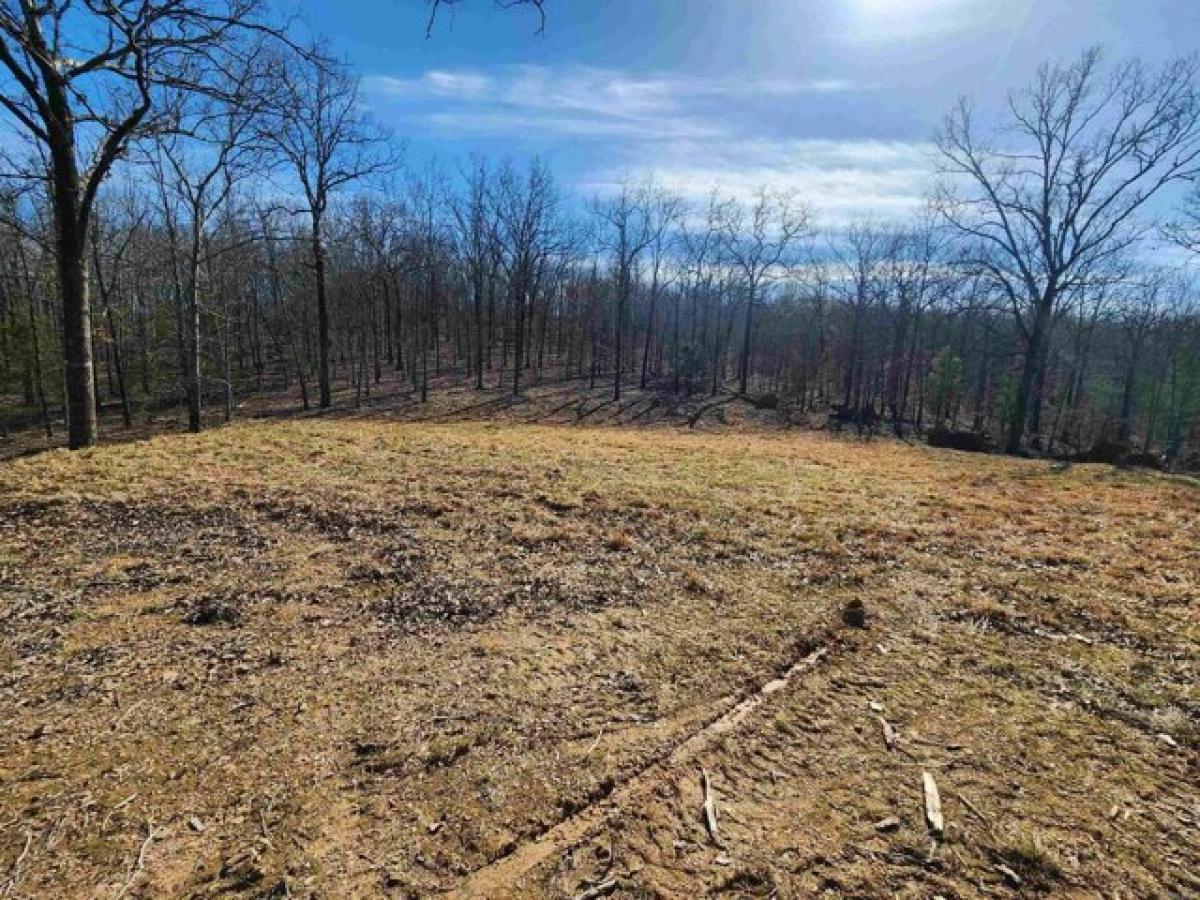 Picture of Residential Land For Sale in Conway, Arkansas, United States