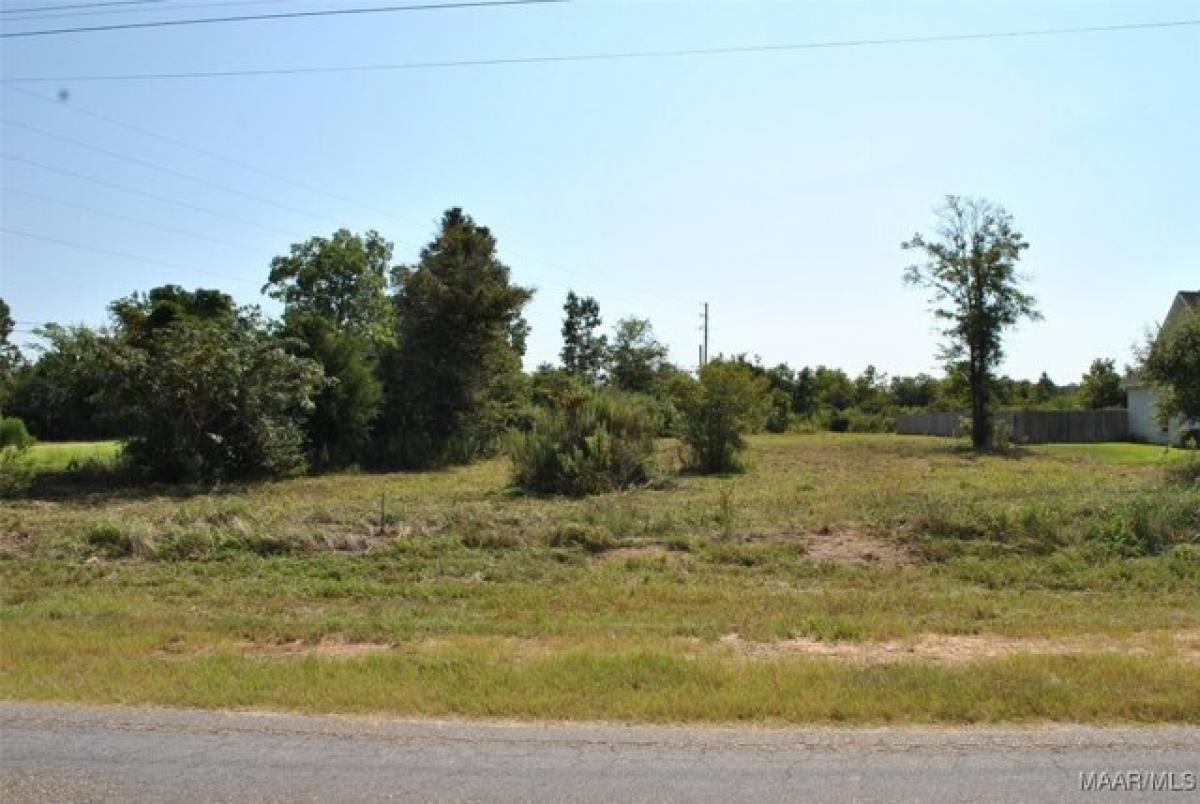 Picture of Residential Land For Sale in New Brockton, Alabama, United States