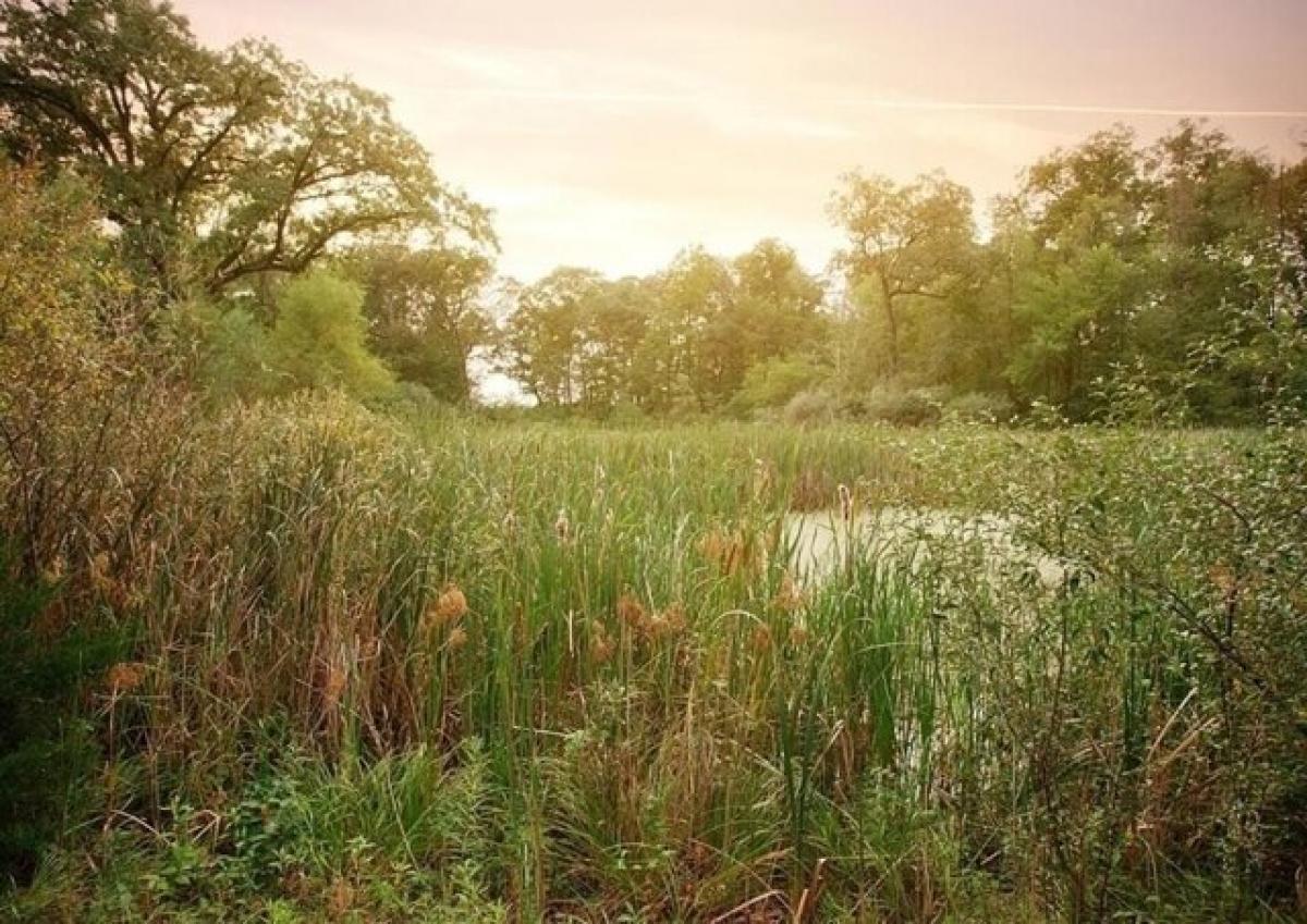 Picture of Residential Land For Sale in Lowell, Indiana, United States