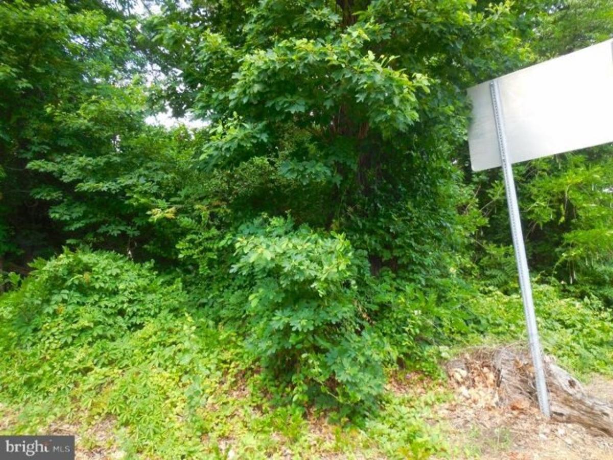 Picture of Residential Land For Sale in Woodbury, New Jersey, United States