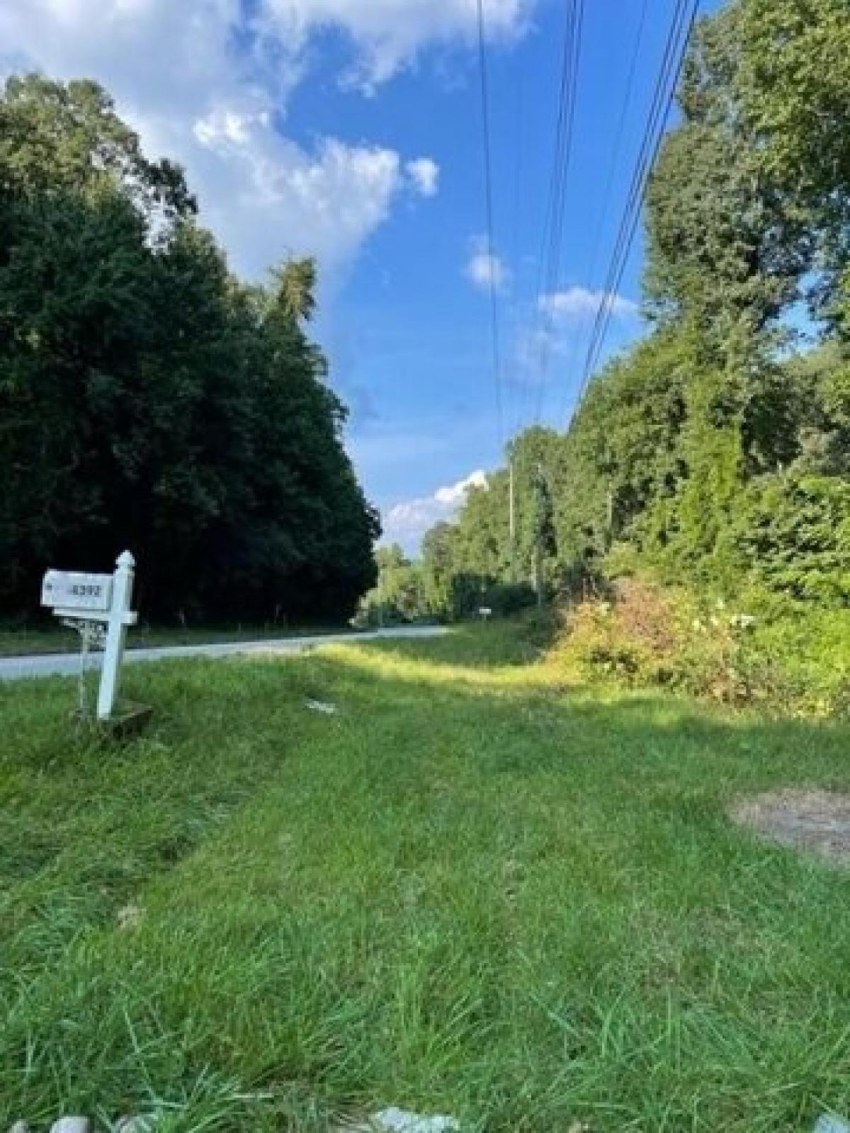 Picture of Residential Land For Sale in Cleveland, Georgia, United States