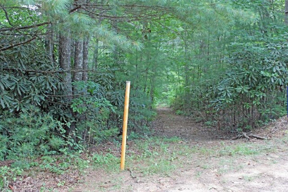 Picture of Residential Land For Sale in Mineral Bluff, Georgia, United States