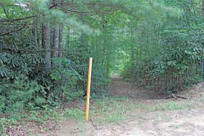 Residential Land For Sale in Mineral Bluff, Georgia