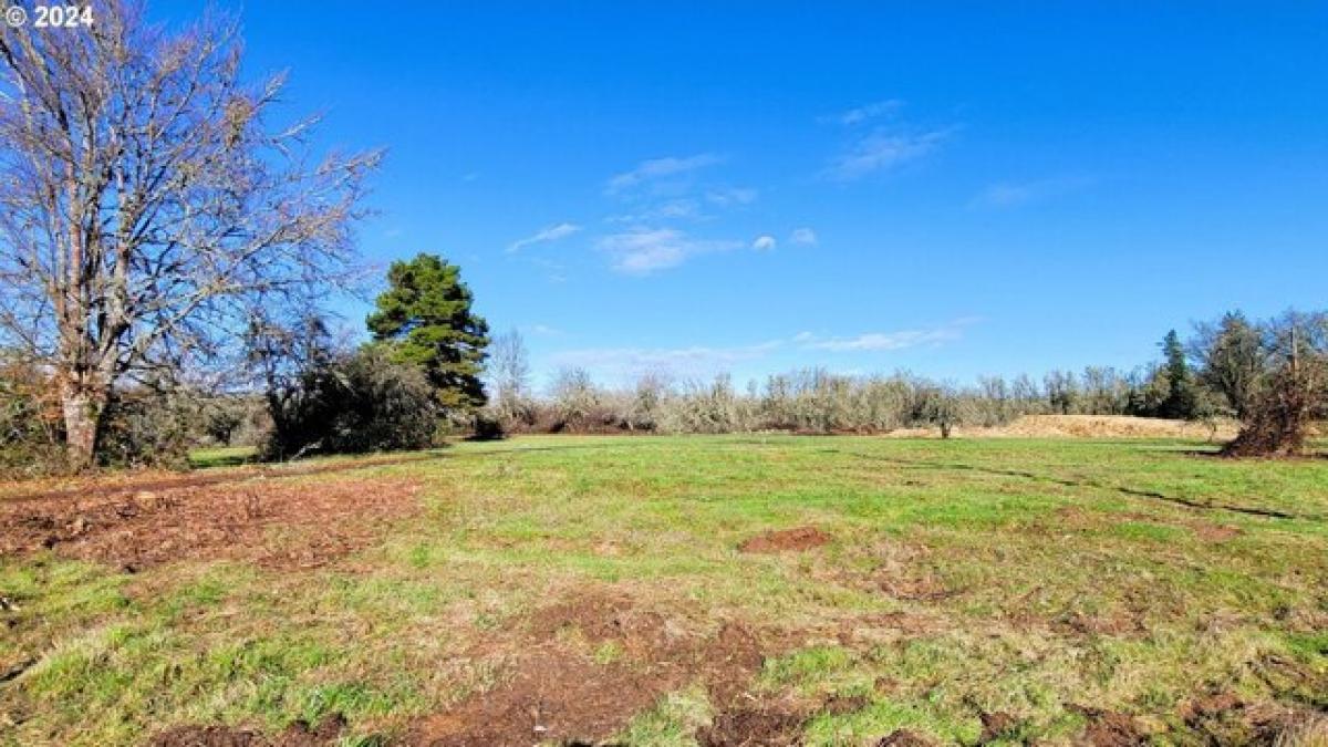 Picture of Residential Land For Sale in Veneta, Oregon, United States