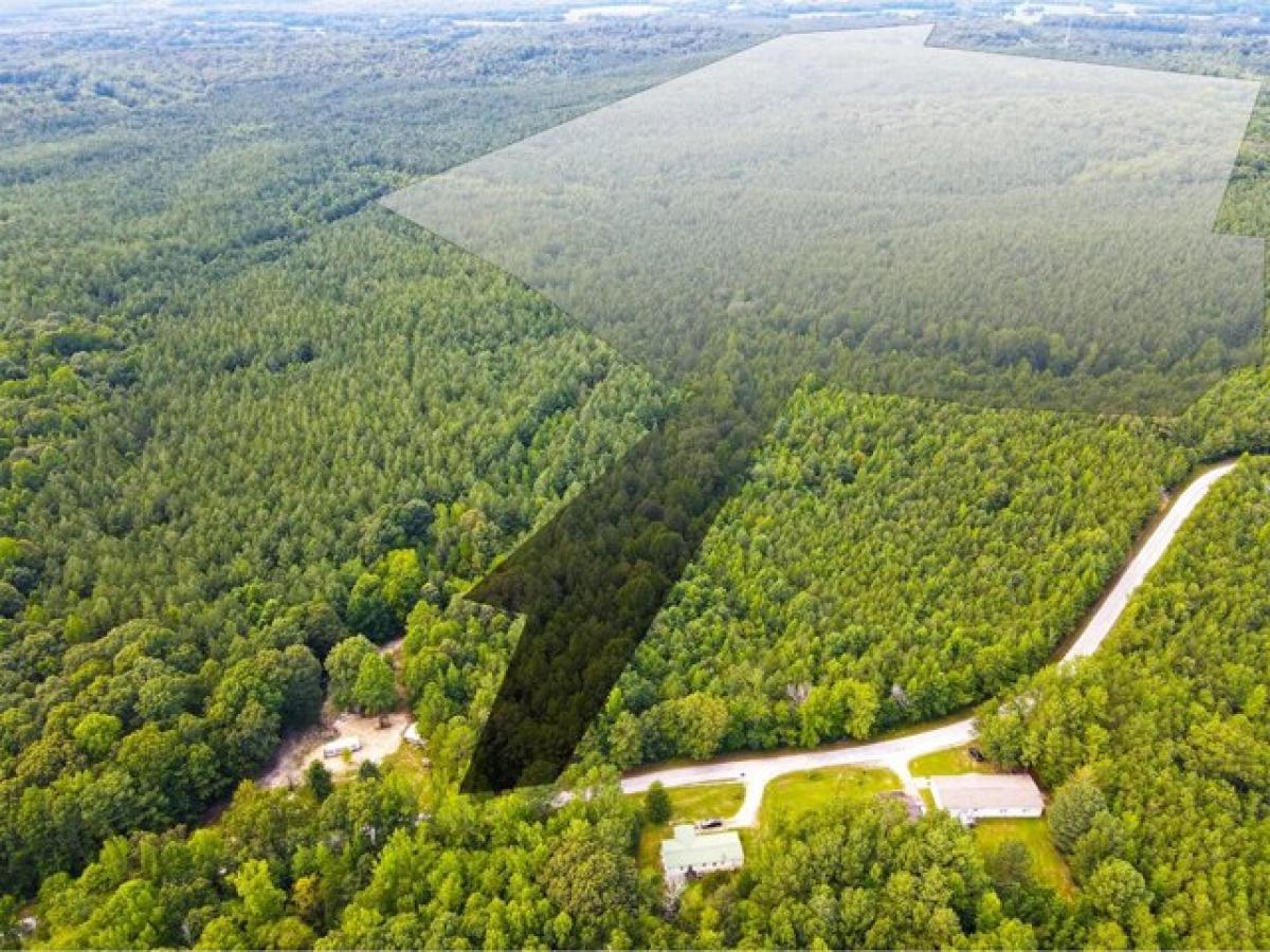 Picture of Residential Land For Sale in Camden, Tennessee, United States