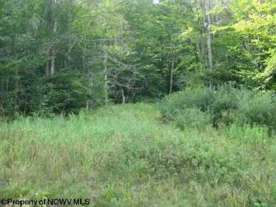 Residential Land For Sale in Davis, West Virginia