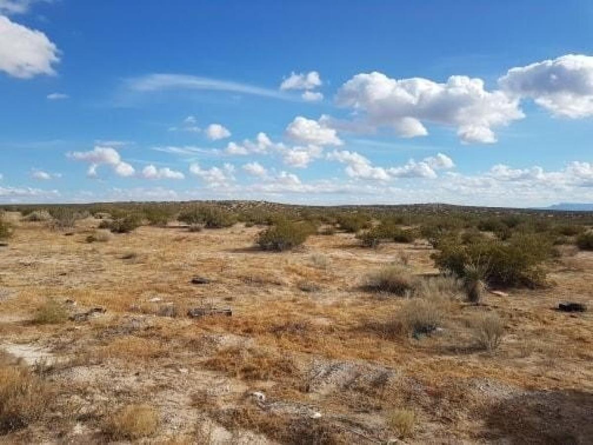 Picture of Residential Land For Sale in Horizon City, Texas, United States