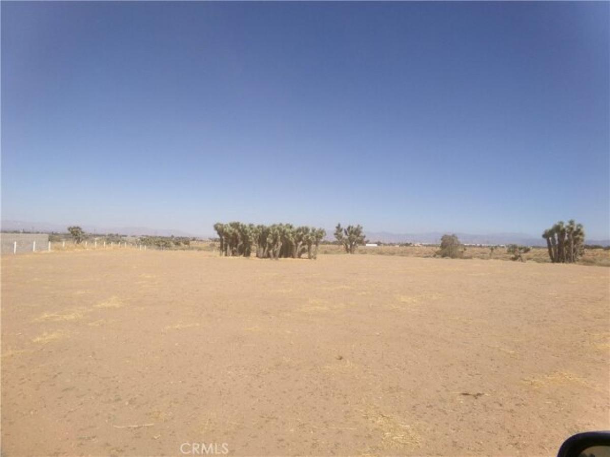 Picture of Residential Land For Sale in Phelan, California, United States