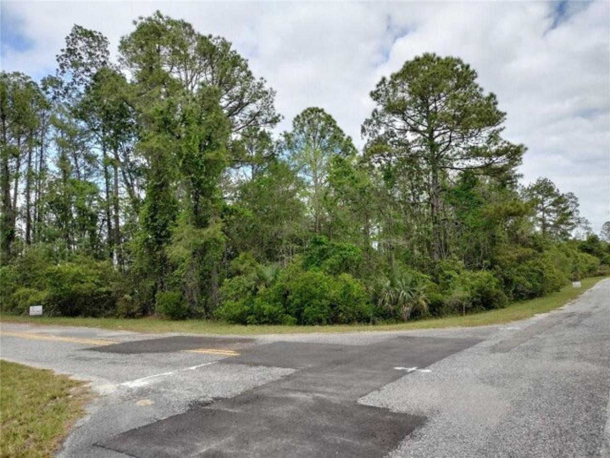 Picture of Residential Land For Sale in Eustis, Florida, United States