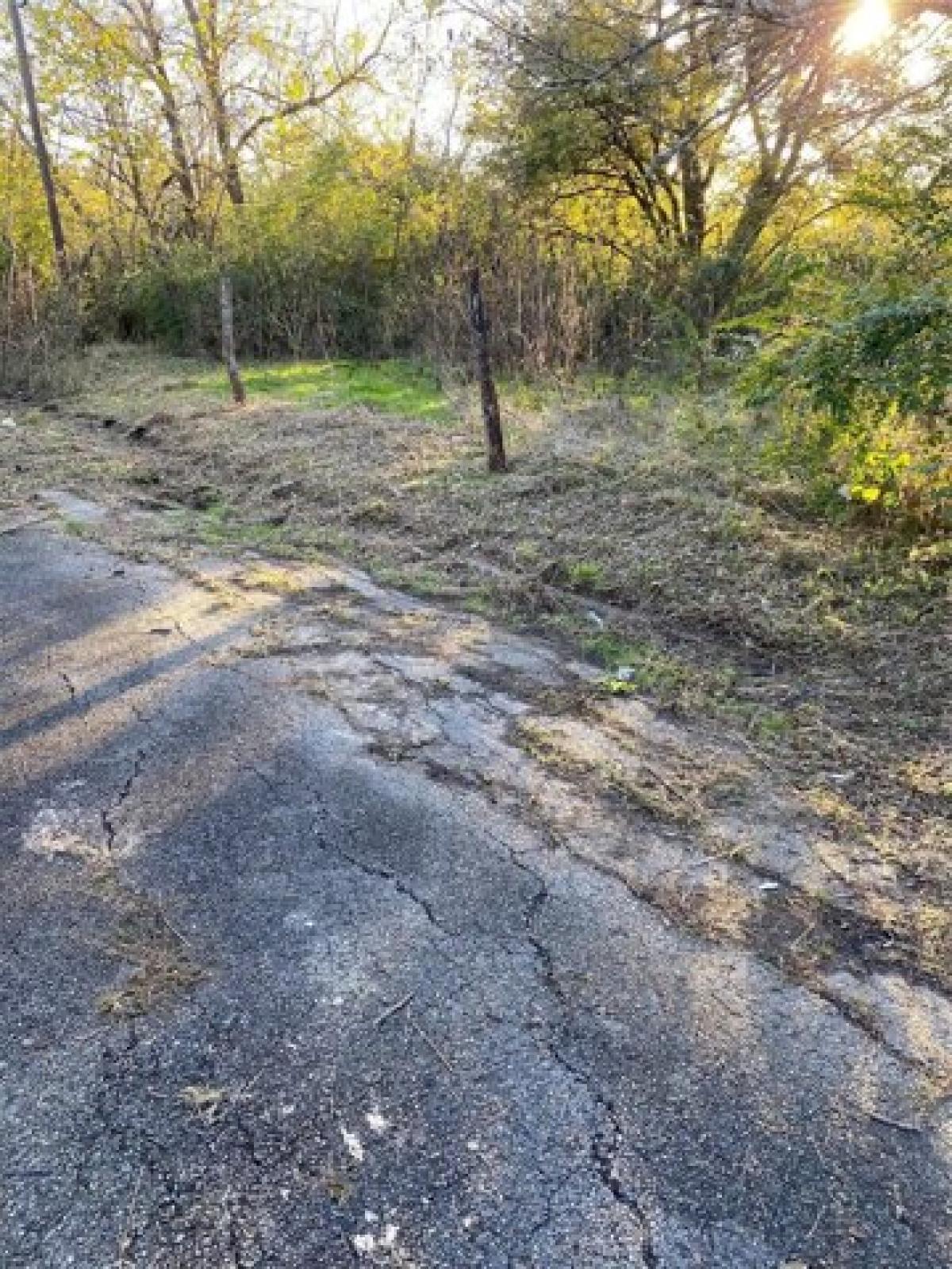 Picture of Residential Land For Sale in Commerce, Texas, United States