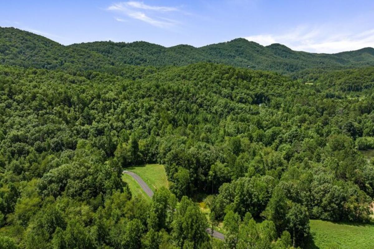 Picture of Residential Land For Sale in Mineral Bluff, Georgia, United States