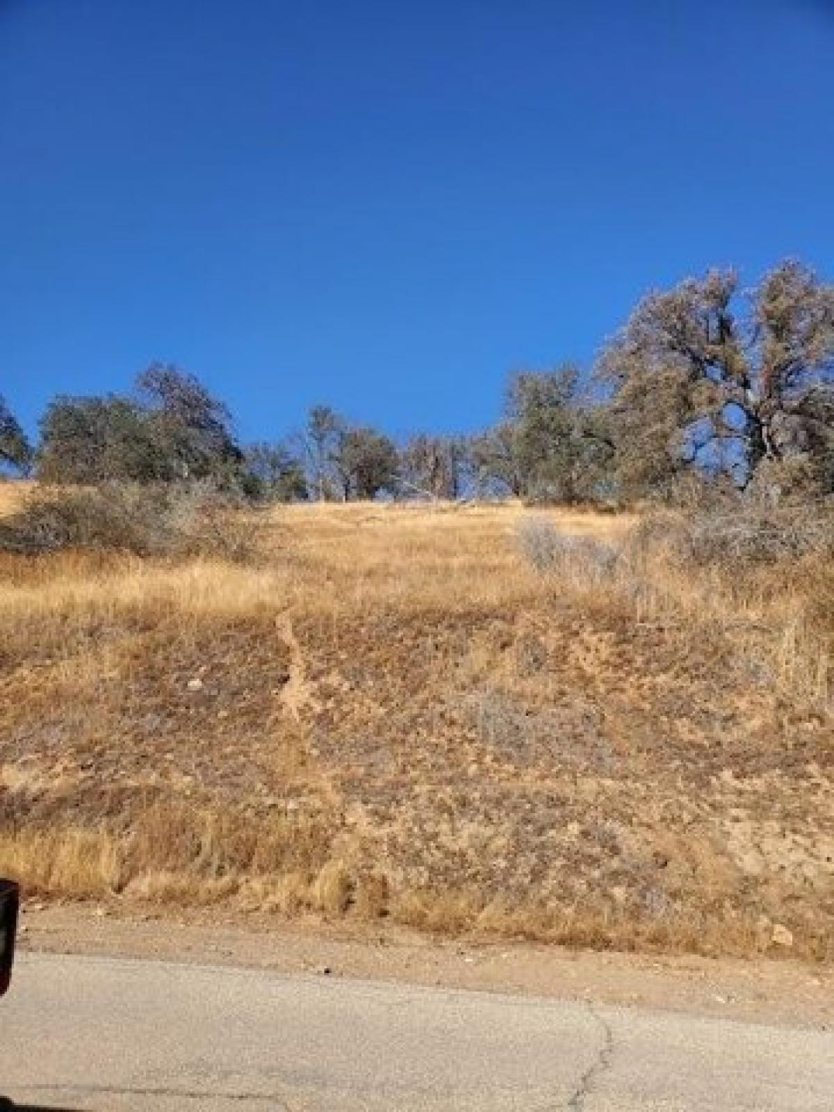 Picture of Residential Land For Sale in Squaw Valley, California, United States