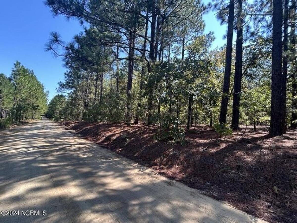 Picture of Residential Land For Sale in West End, North Carolina, United States