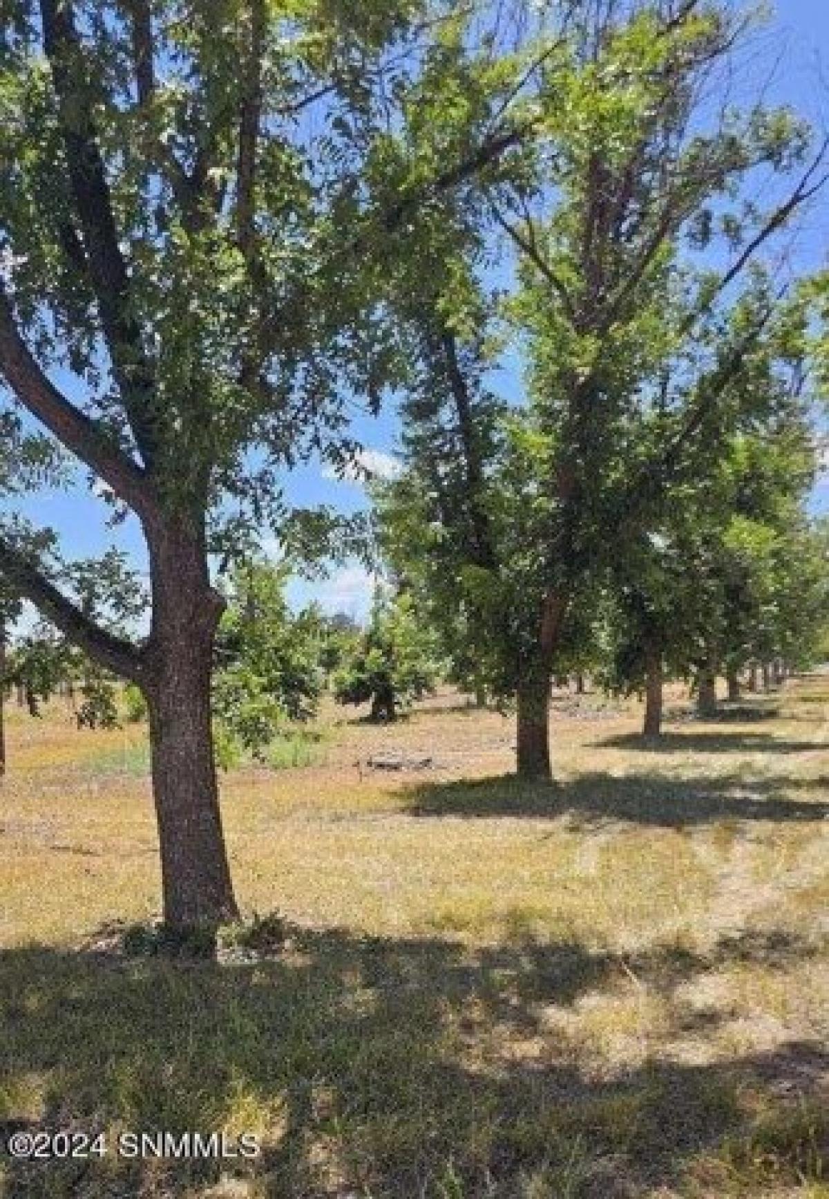 Picture of Residential Land For Sale in Las Cruces, New Mexico, United States