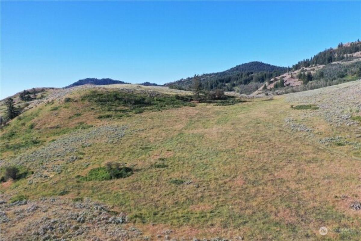 Picture of Residential Land For Sale in Oroville, Washington, United States