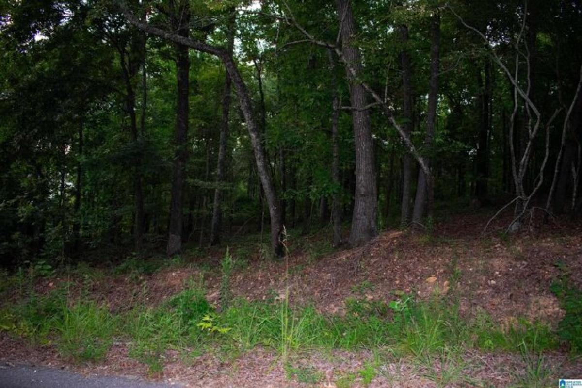 Picture of Residential Land For Sale in Talladega, Alabama, United States