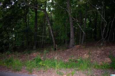 Residential Land For Sale in Talladega, Alabama