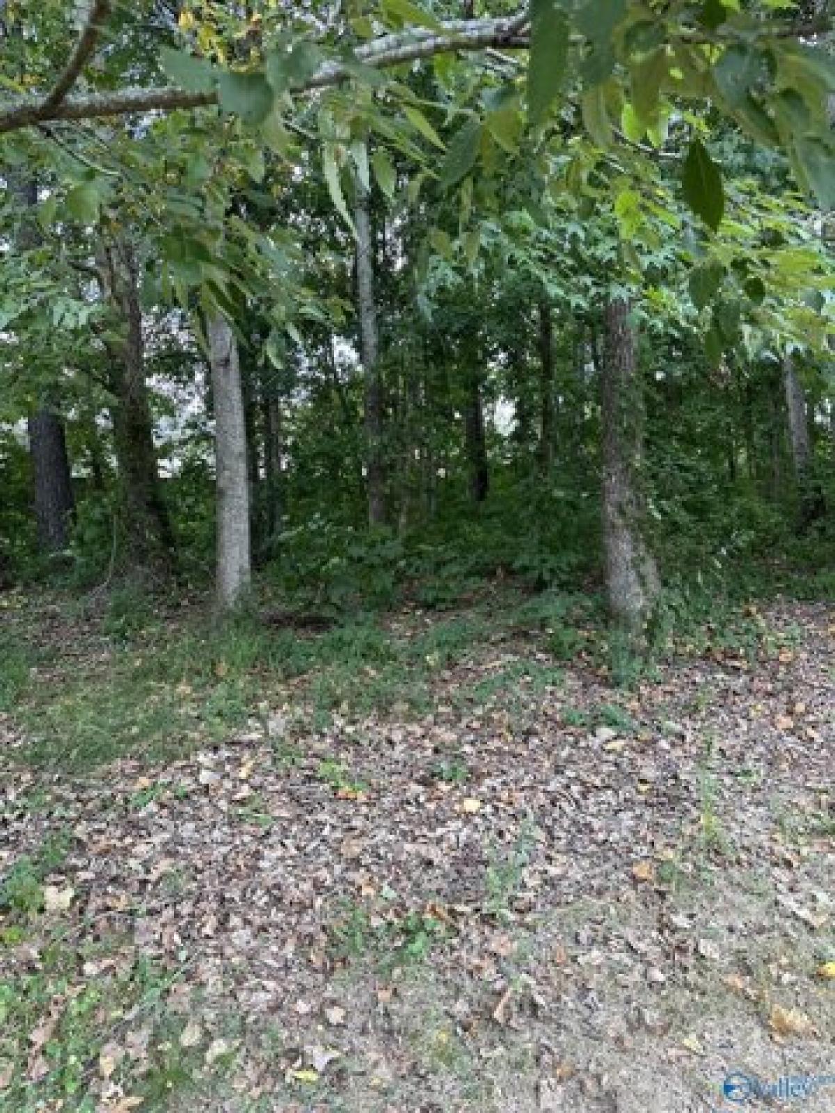 Picture of Residential Land For Sale in Killen, Alabama, United States