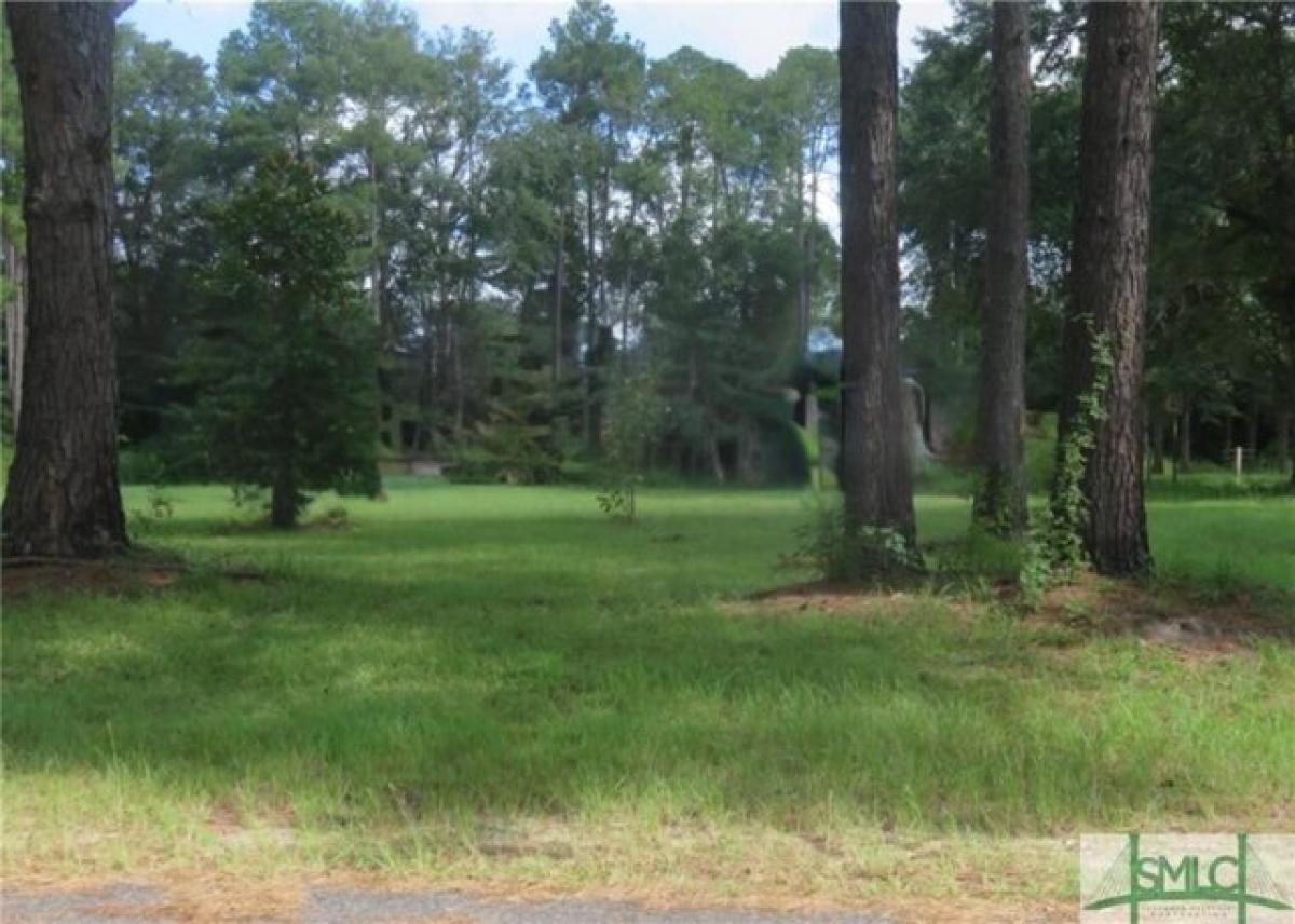 Picture of Residential Land For Sale in Ellabell, Georgia, United States