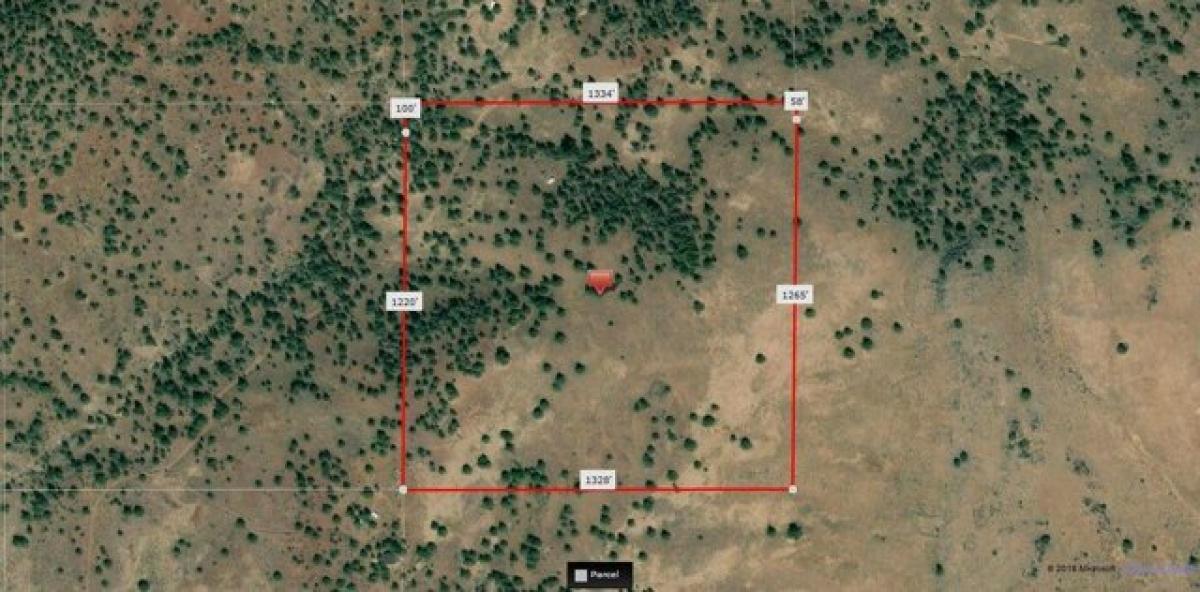 Picture of Residential Land For Sale in Lookout, California, United States