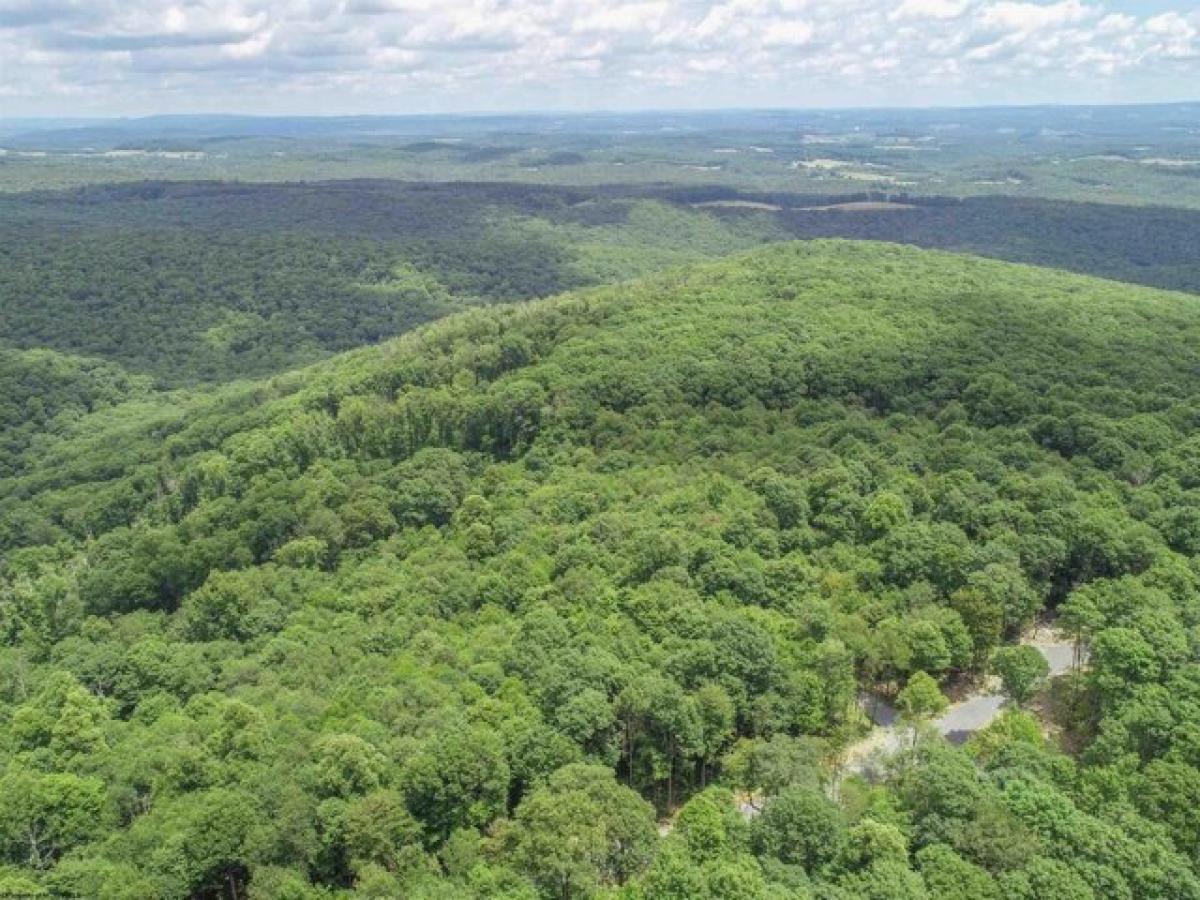 Picture of Residential Land For Sale in Bruceton Mills, West Virginia, United States