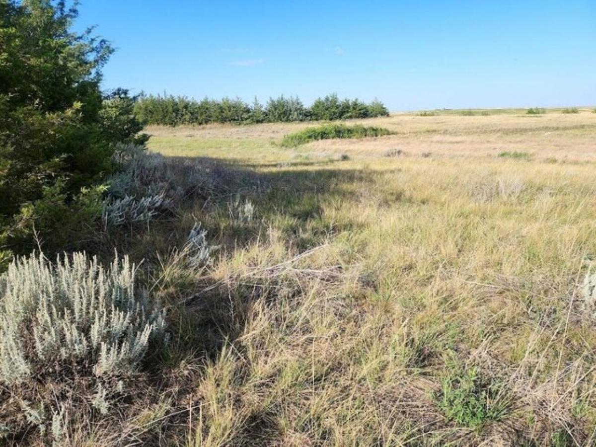 Picture of Residential Land For Sale in Bushnell, Nebraska, United States