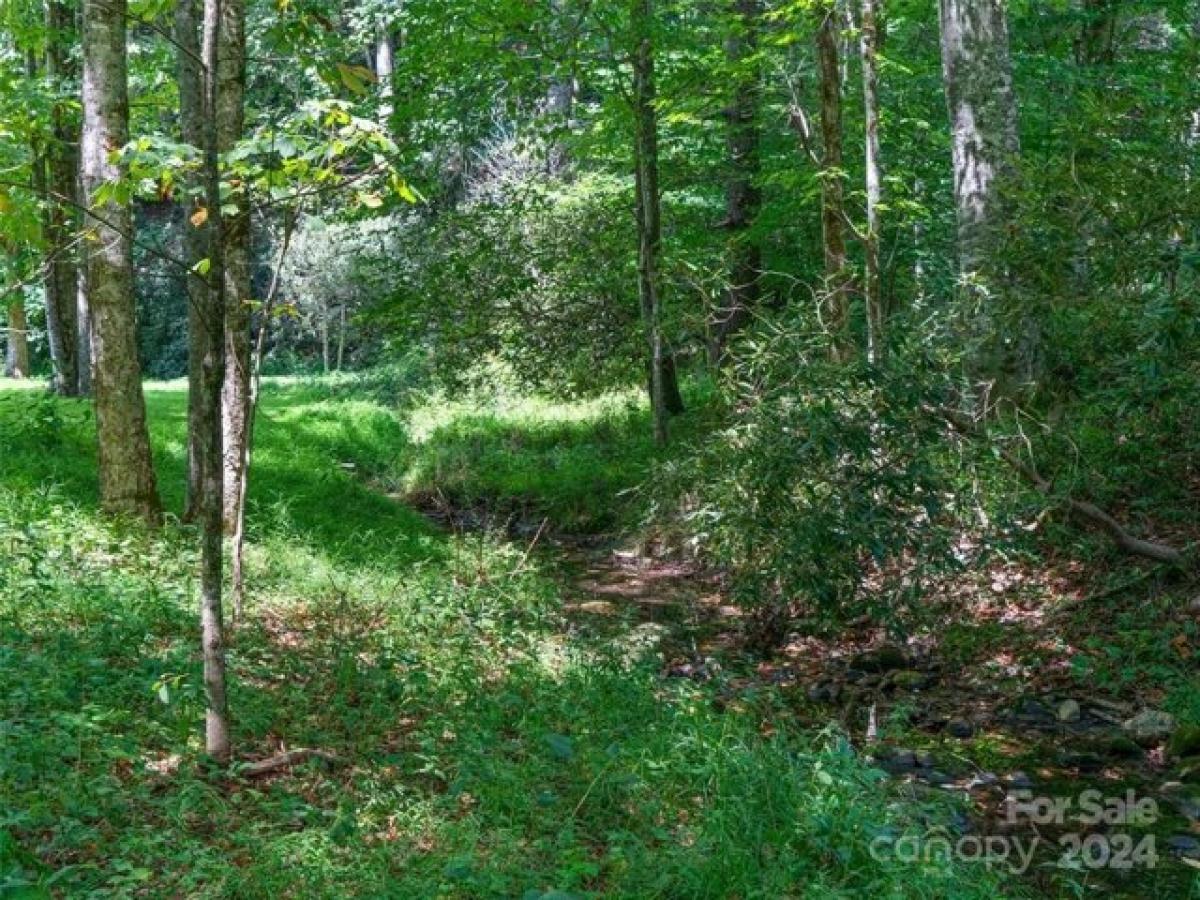 Picture of Residential Land For Sale in Burnsville, North Carolina, United States