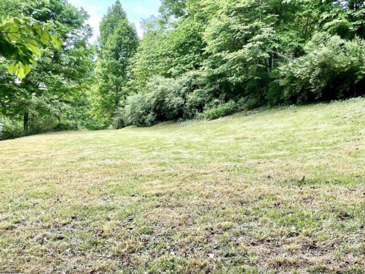 Picture of Residential Land For Sale in Horner, West Virginia, United States