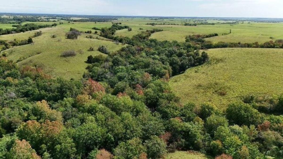 Picture of Residential Land For Sale in Yates Center, Kansas, United States