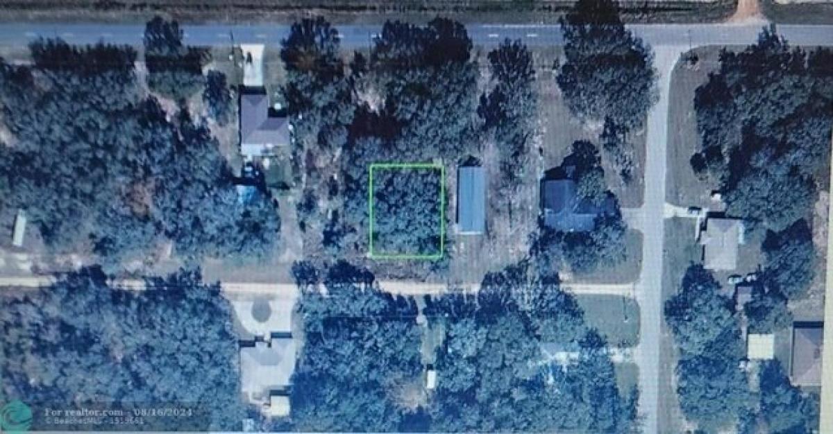 Picture of Residential Land For Sale in Avon Park, Florida, United States