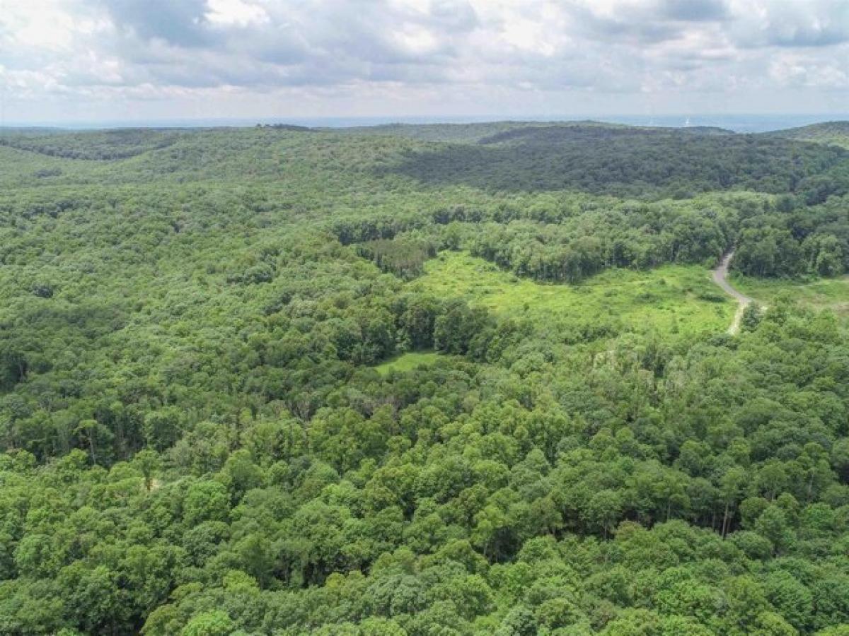 Picture of Residential Land For Sale in Bruceton Mills, West Virginia, United States