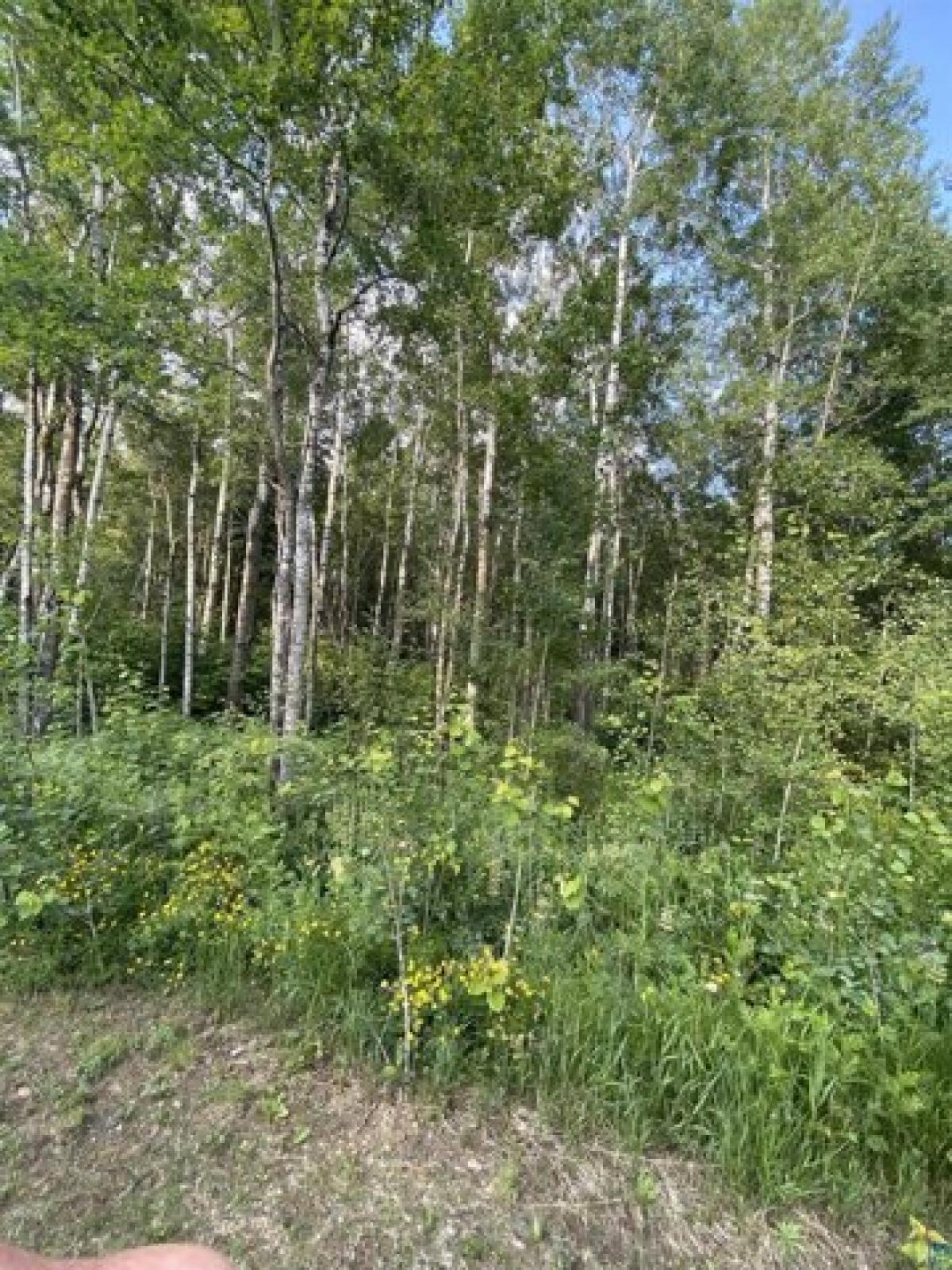 Picture of Residential Land For Sale in Hermantown, Minnesota, United States