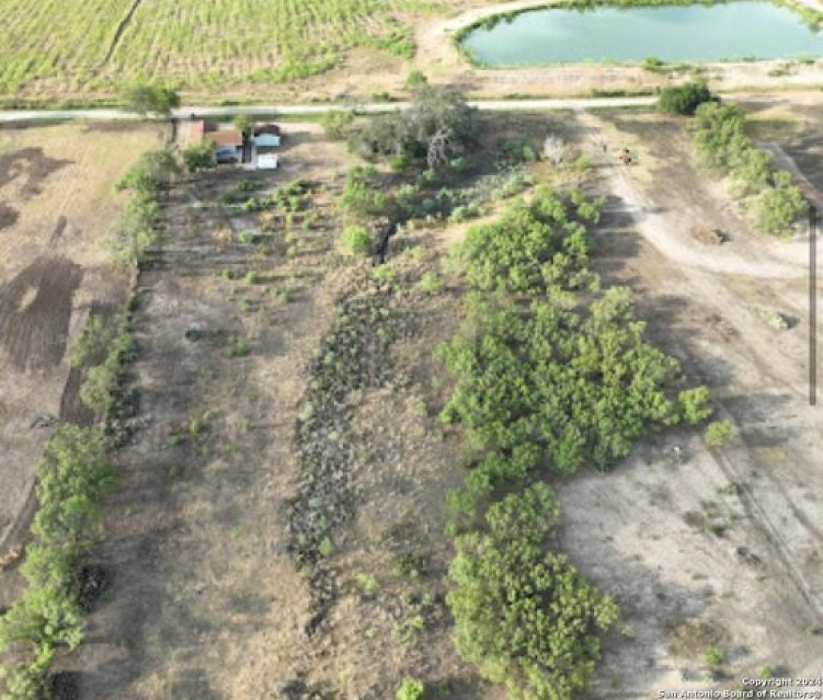 Picture of Home For Sale in Devine, Texas, United States