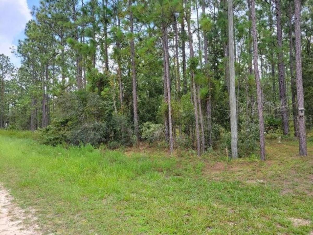 Picture of Residential Land For Sale in Weeki Wachee, Florida, United States