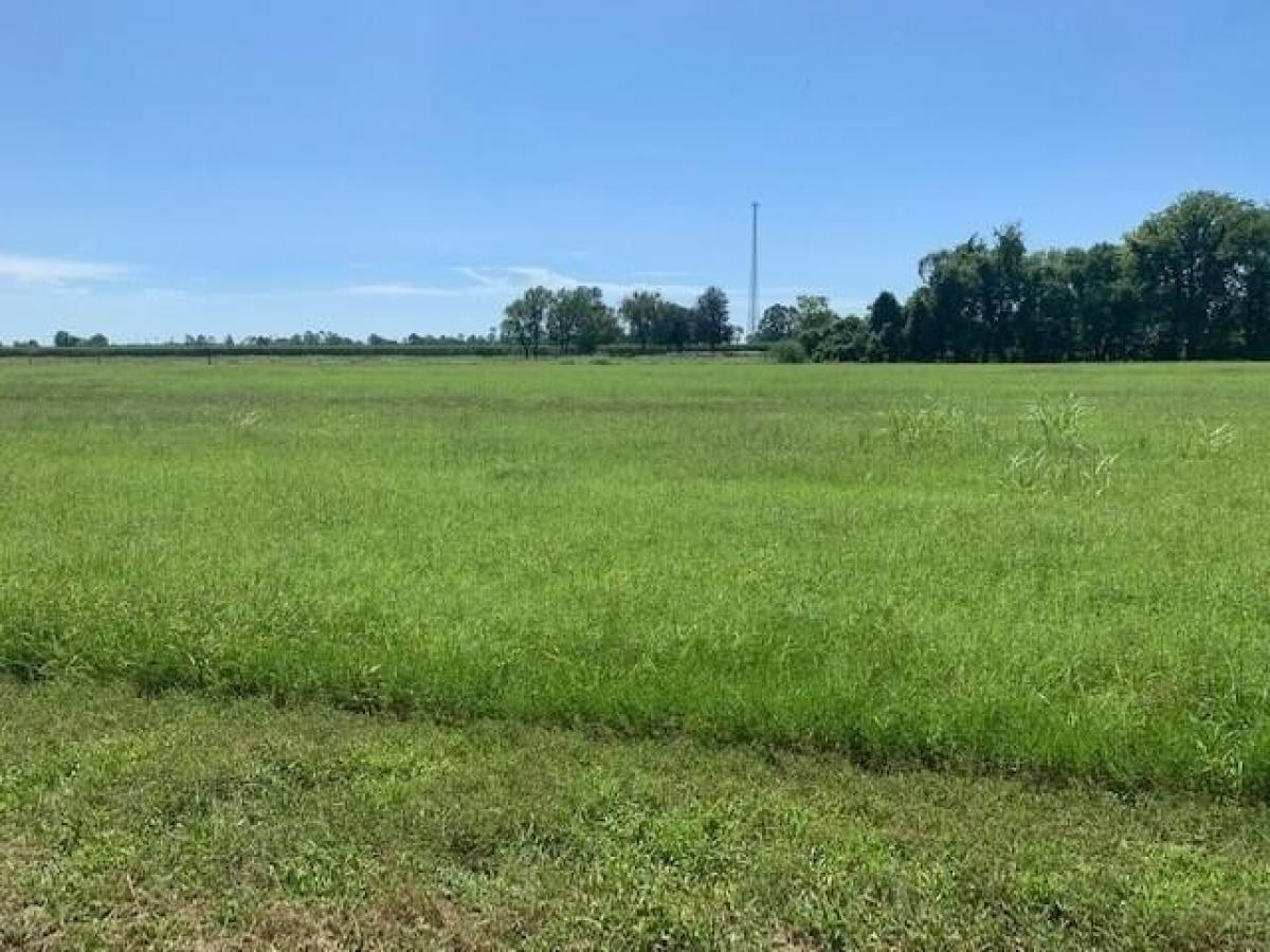 Picture of Residential Land For Sale in Alexandria, Louisiana, United States