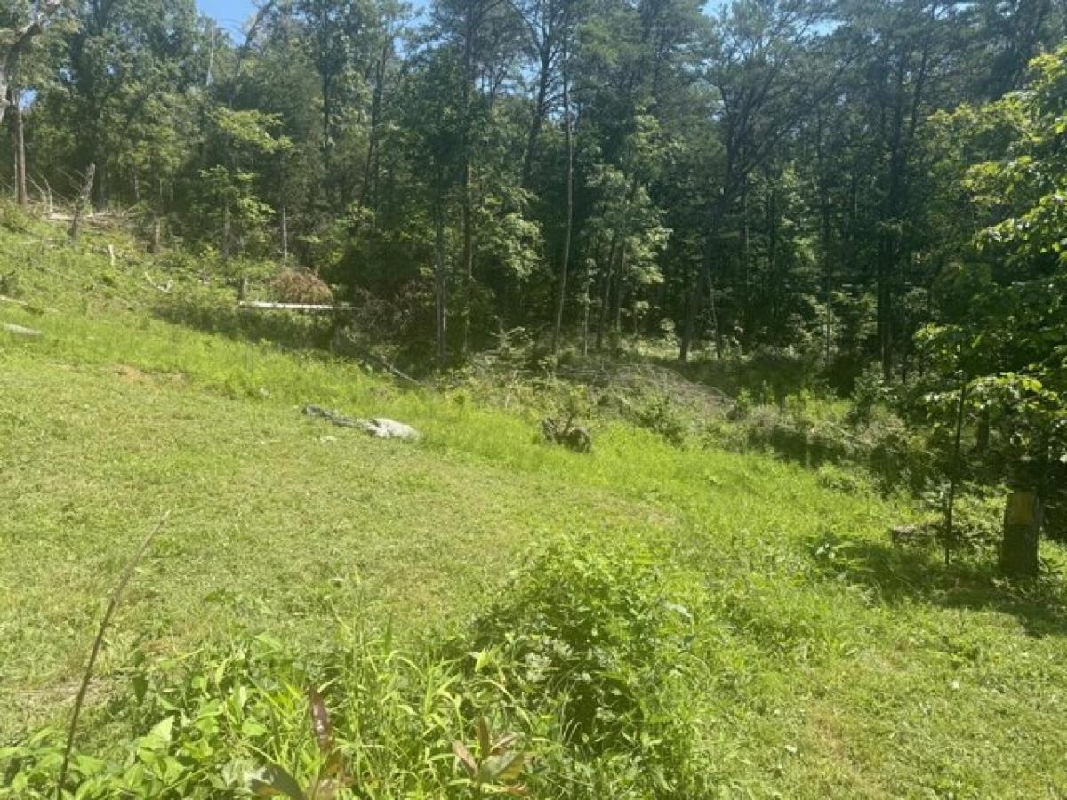 Picture of Residential Land For Sale in Strawberry Plains, Tennessee, United States