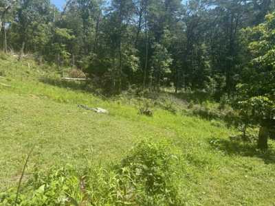 Residential Land For Sale in Strawberry Plains, Tennessee