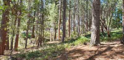 Residential Land For Sale in 