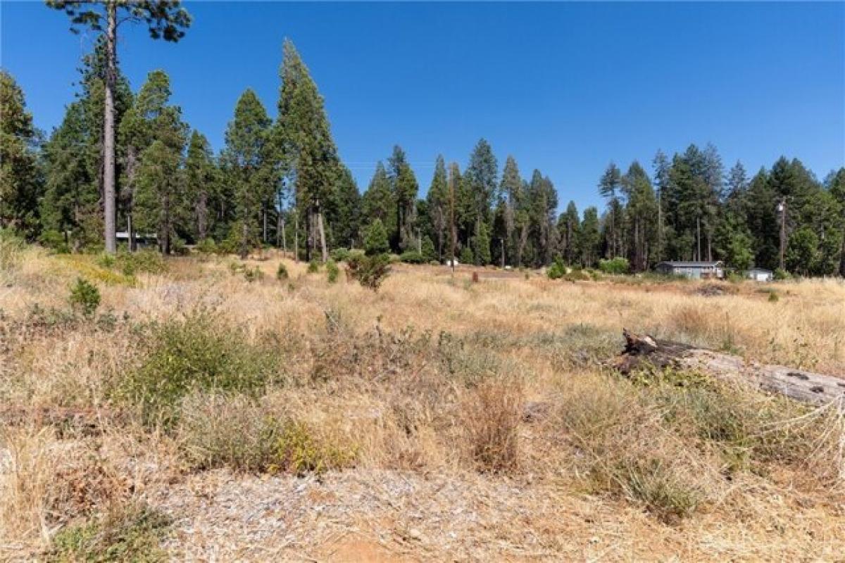 Picture of Residential Land For Sale in Magalia, California, United States