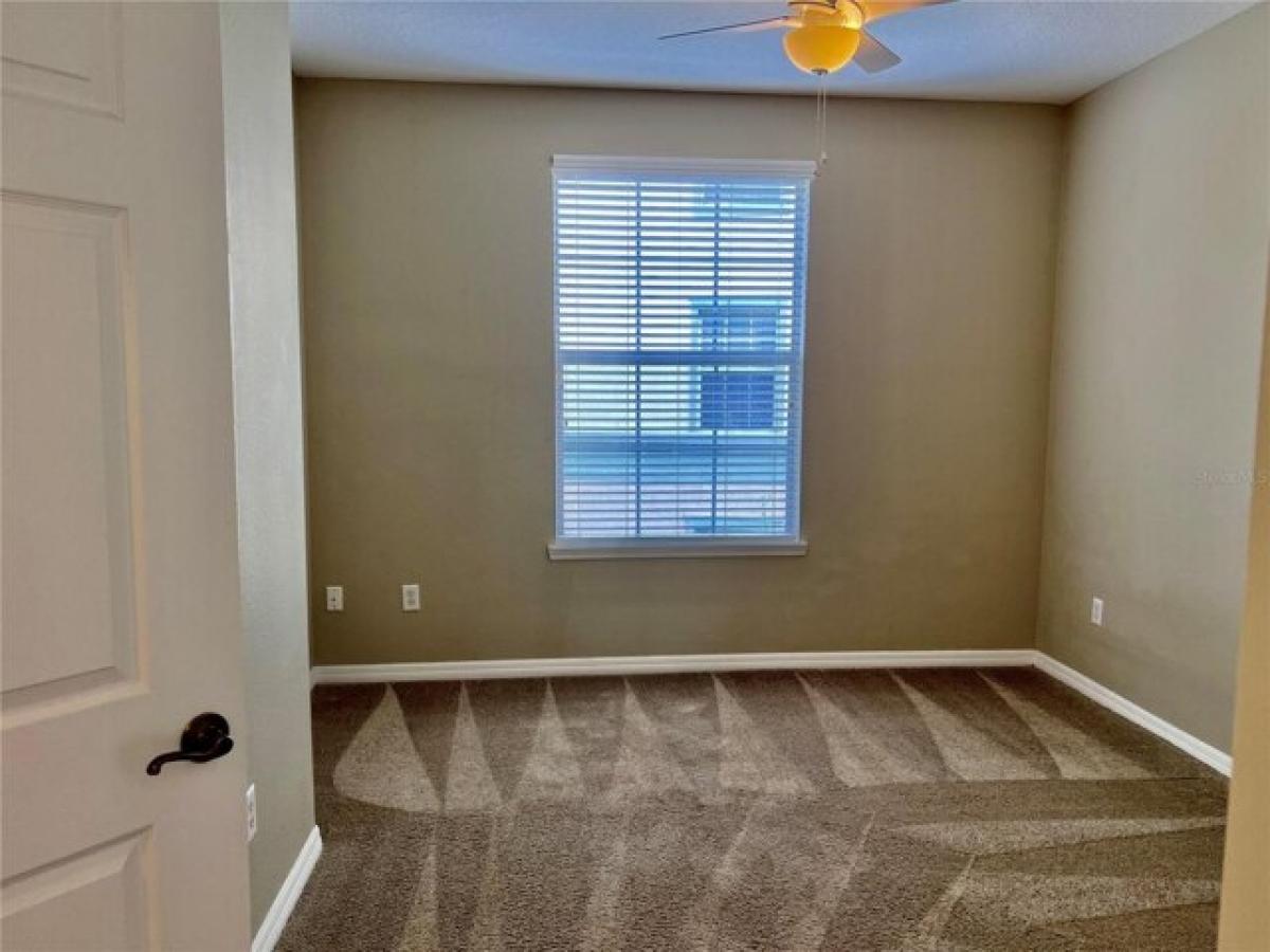 Picture of Home For Rent in Windermere, Florida, United States