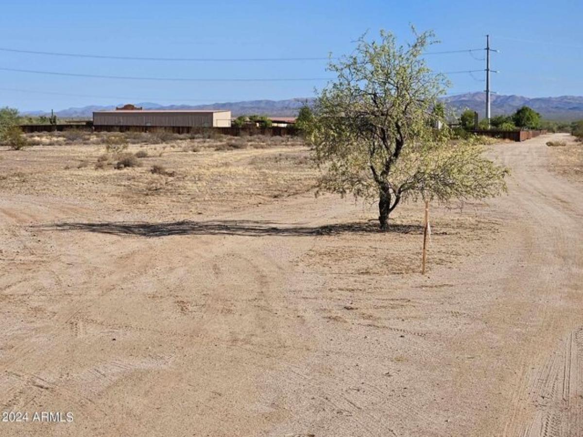 Picture of Residential Land For Sale in Wittmann, Arizona, United States