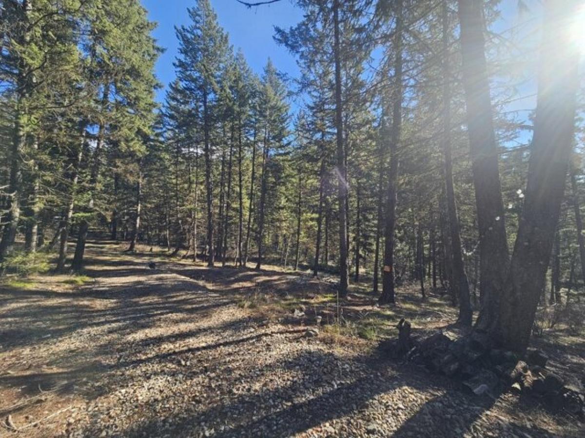 Picture of Residential Land For Sale in Superior, Montana, United States