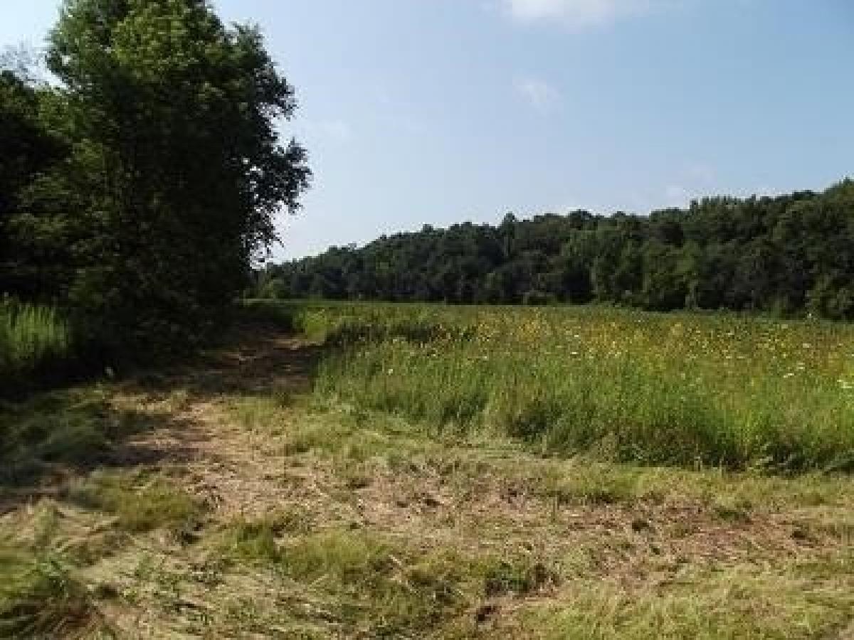 Picture of Residential Land For Sale in Darlington, Wisconsin, United States