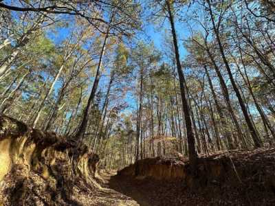 Residential Land For Sale in Pelahatchie, Mississippi