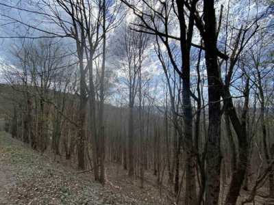 Residential Land For Sale in Davis, West Virginia