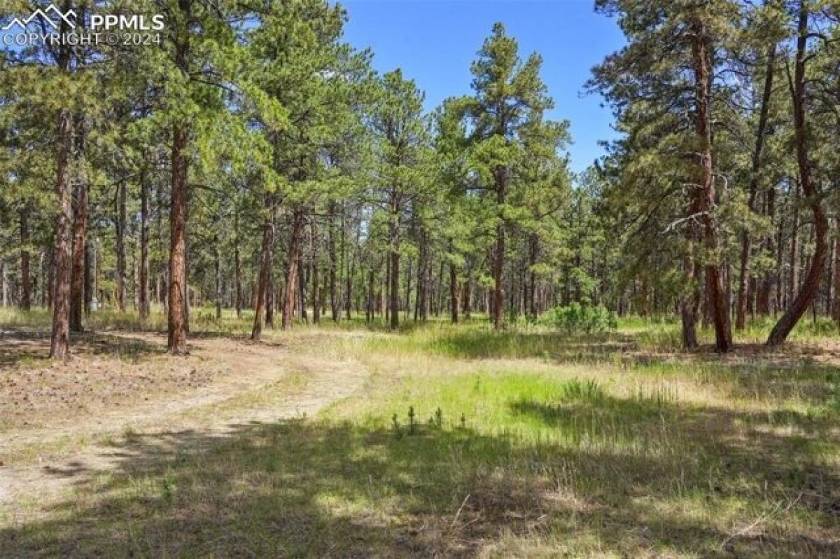 Picture of Residential Land For Sale in Colorado Springs, Colorado, United States