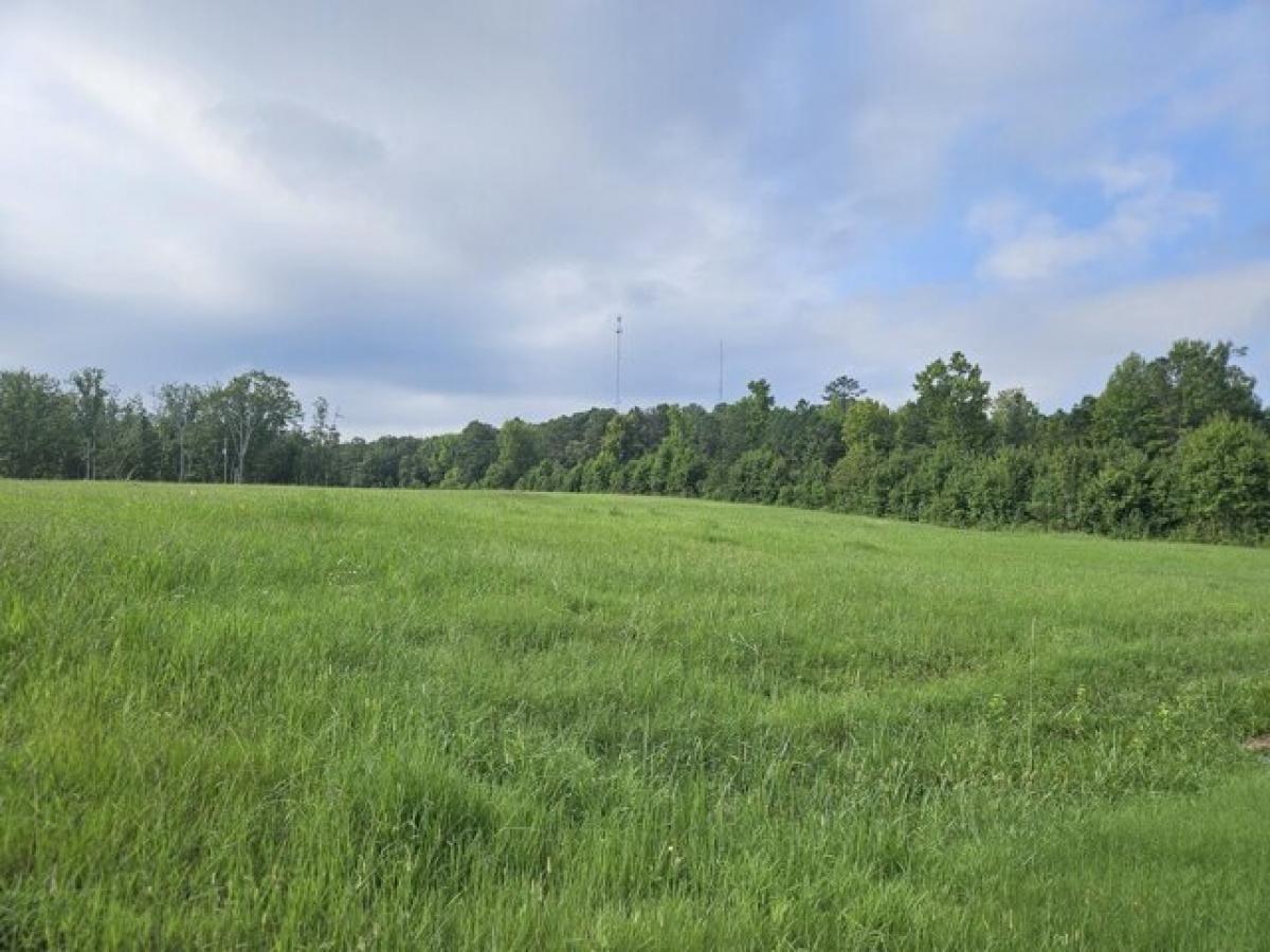 Picture of Residential Land For Sale in Lincolnton, Georgia, United States