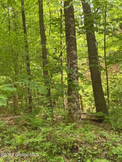 Residential Land For Sale in Bolton Landing, New York