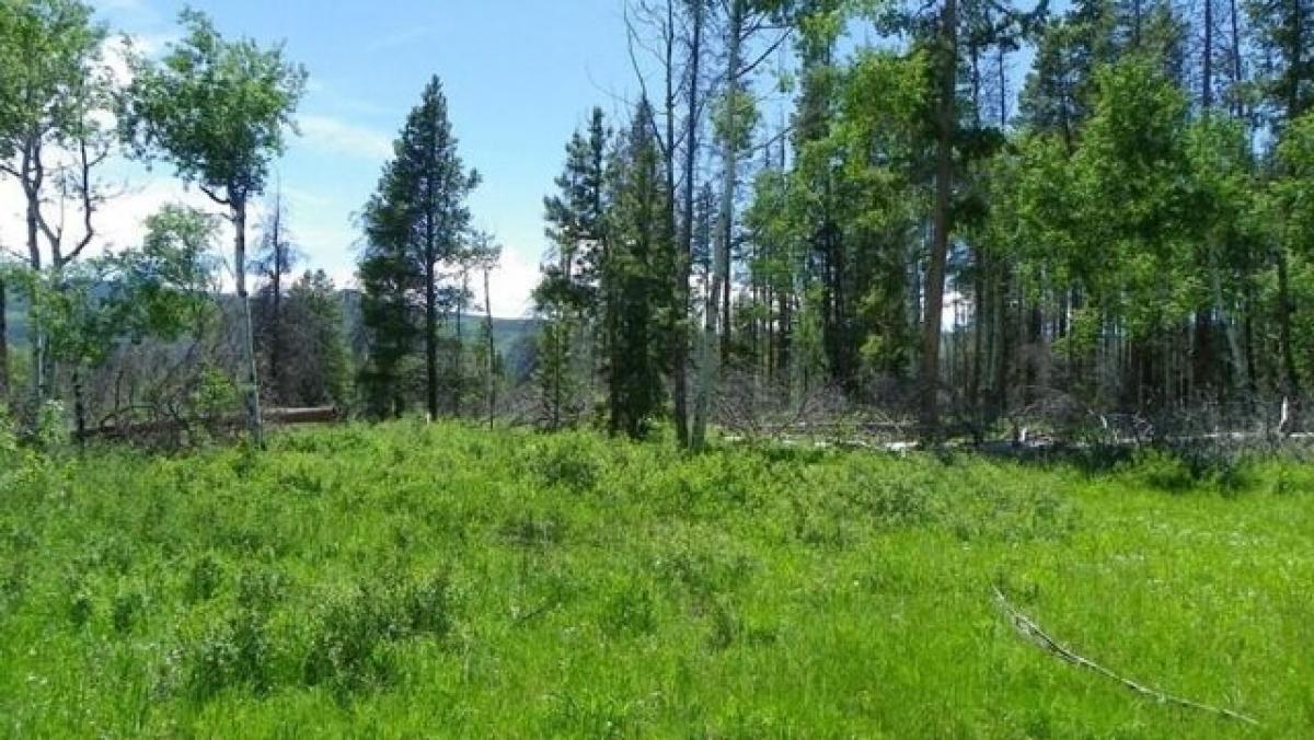 Picture of Residential Land For Sale in Oak Creek, Colorado, United States