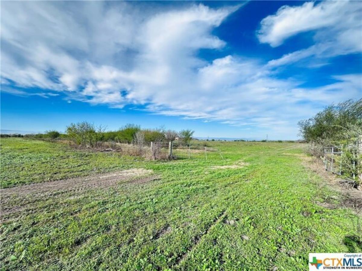 Picture of Residential Land For Sale in Kenedy, Texas, United States